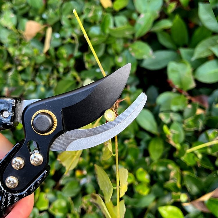 Garden Pruner with SK5 Steel Blade and Non-Stick Coating View Scene Graph