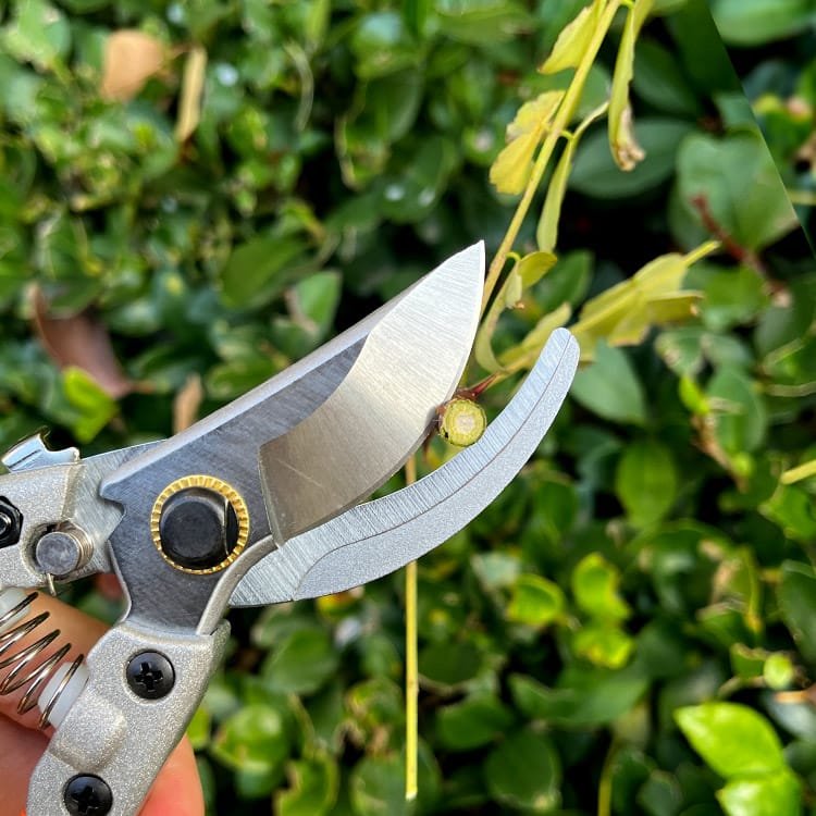 Garden Pruner with SK5 Steel Blade and Rubber-Coated Handle View Scene Graph