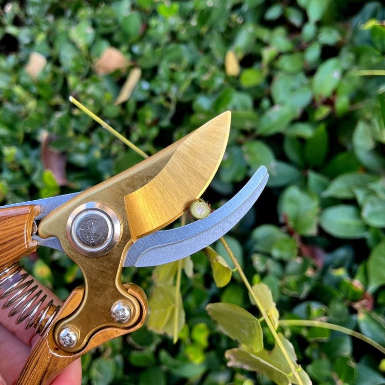Garden Pruner with Wood-Grain Handle and SK5 Steel Blade View Scene Graph