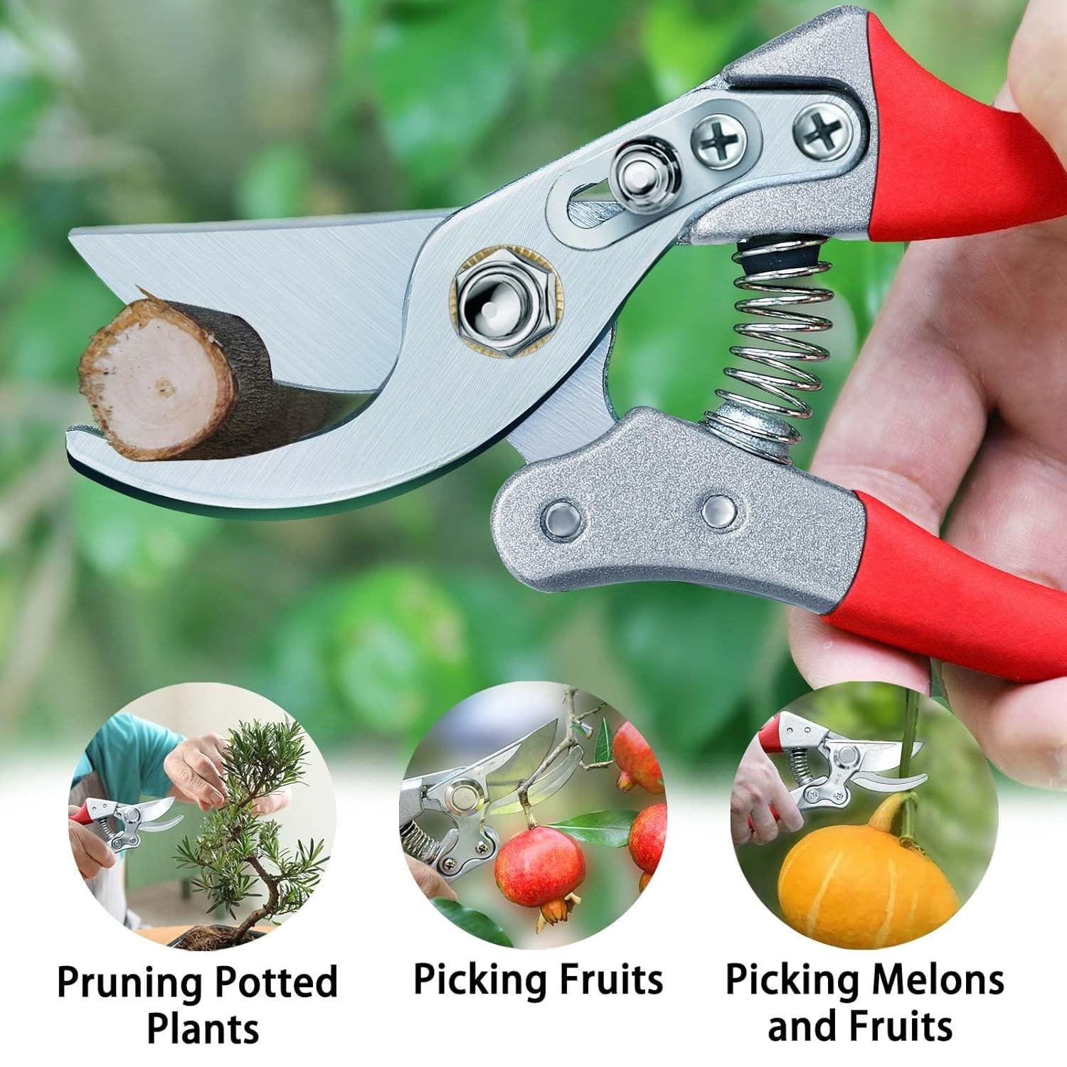 Garden Shears-2