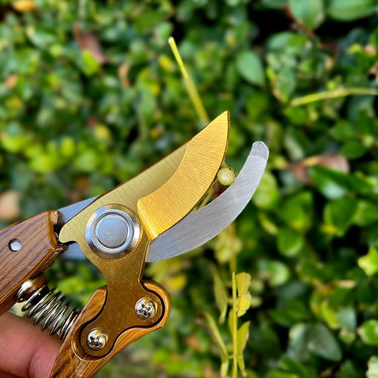 Wood Grain Handle, SK5 Steel Blade Garden Pruner View Scene Graph
