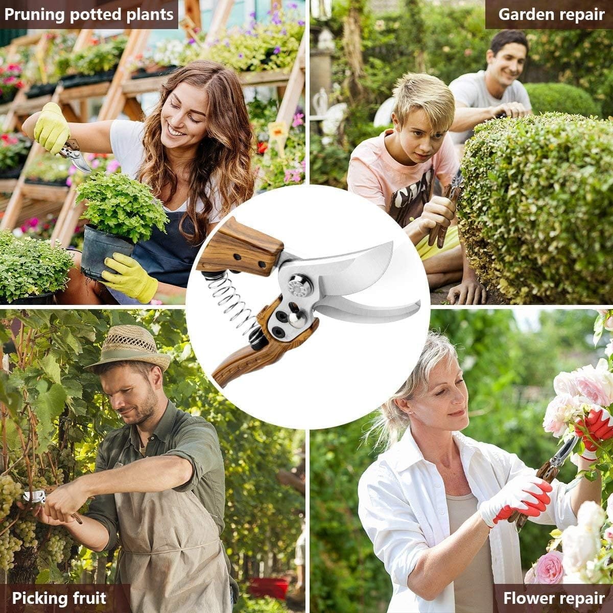 Pruning potted plants,garden,flower and picking fruit
