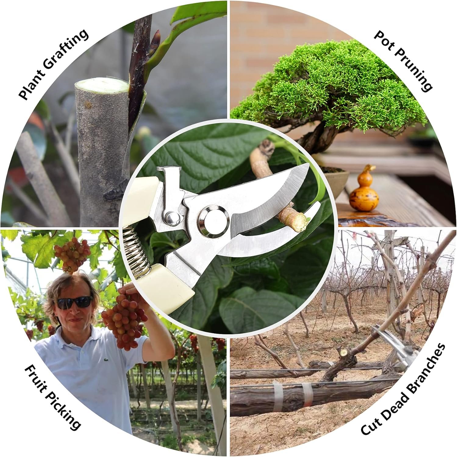 Application of garden shears in different fields