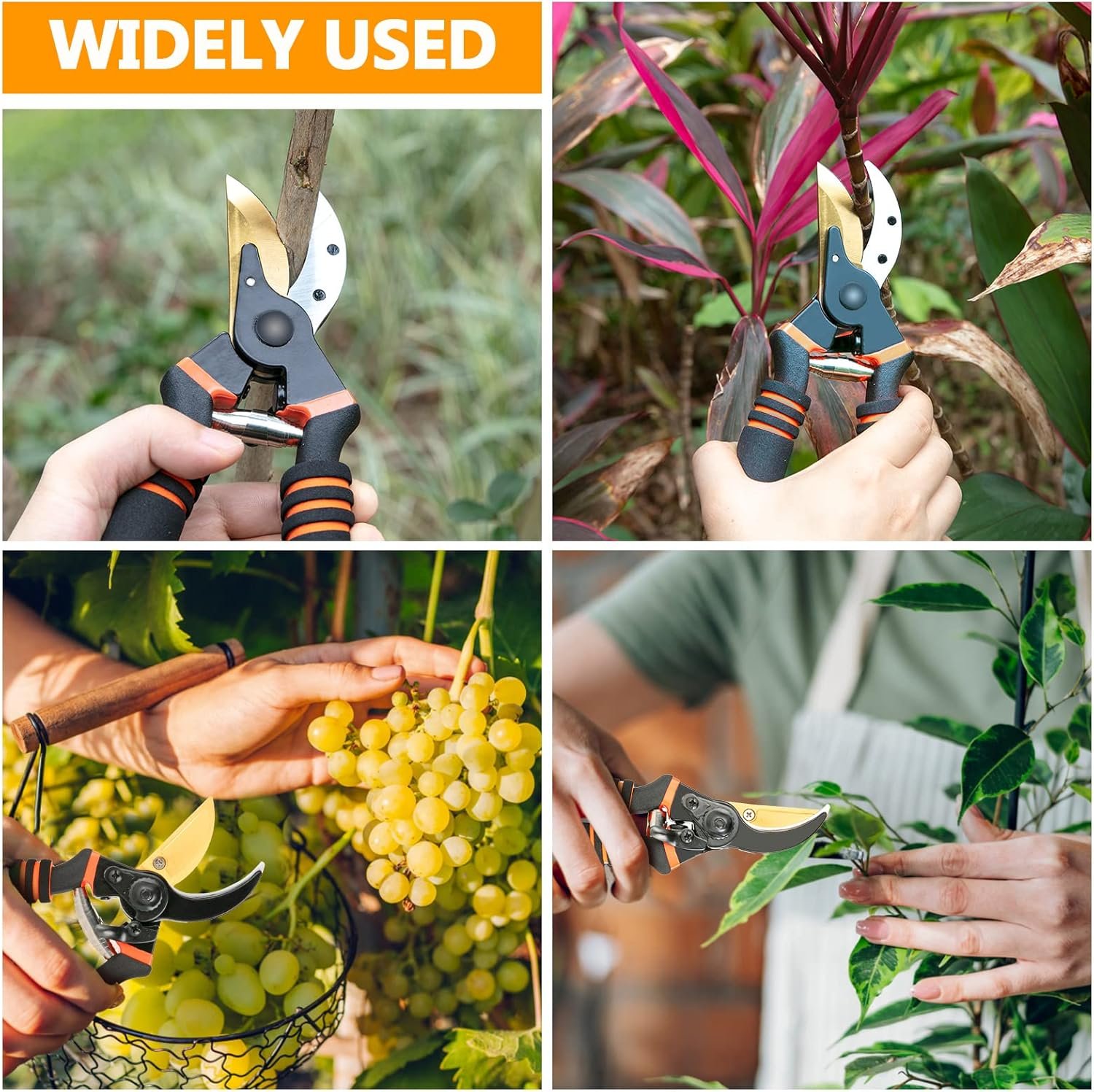 Application of eding garden shears in different fields