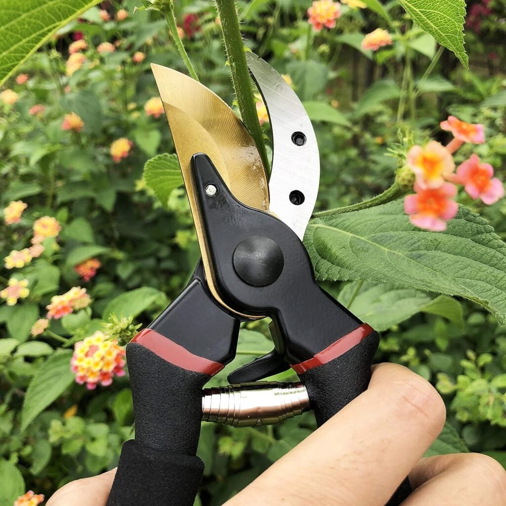 Edging garden shears