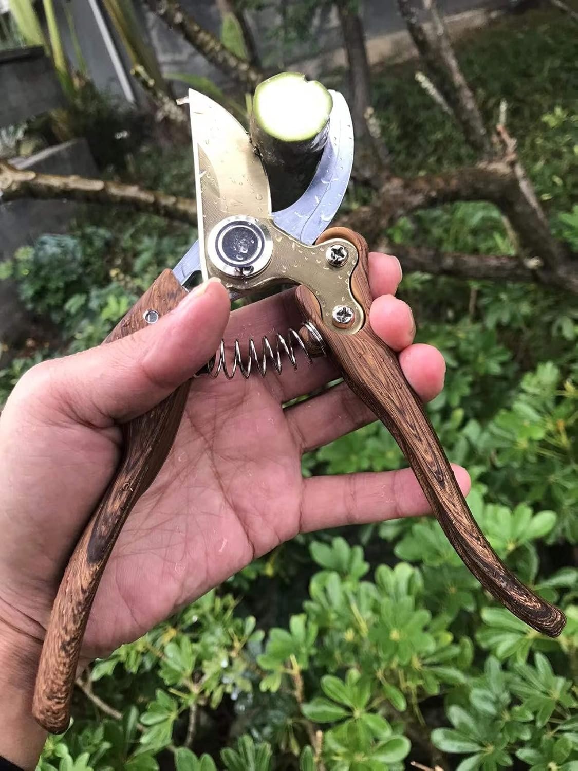 GARDEN SHEARS