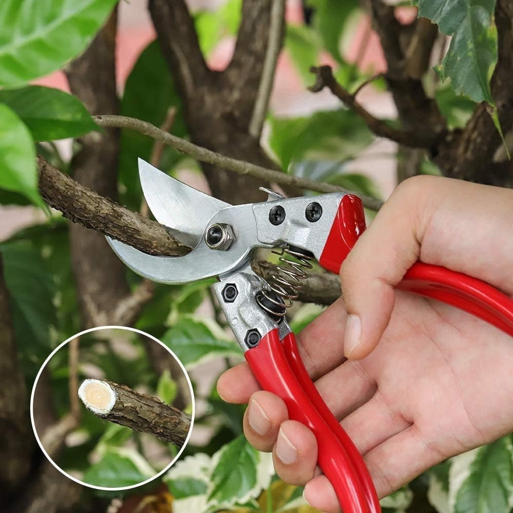 Garden Shears for Hedges