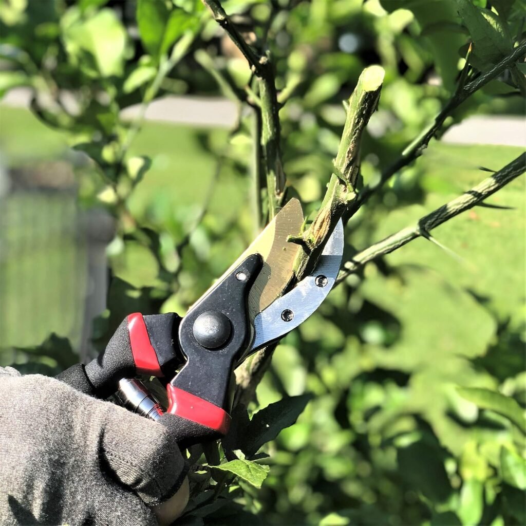Large garden shears