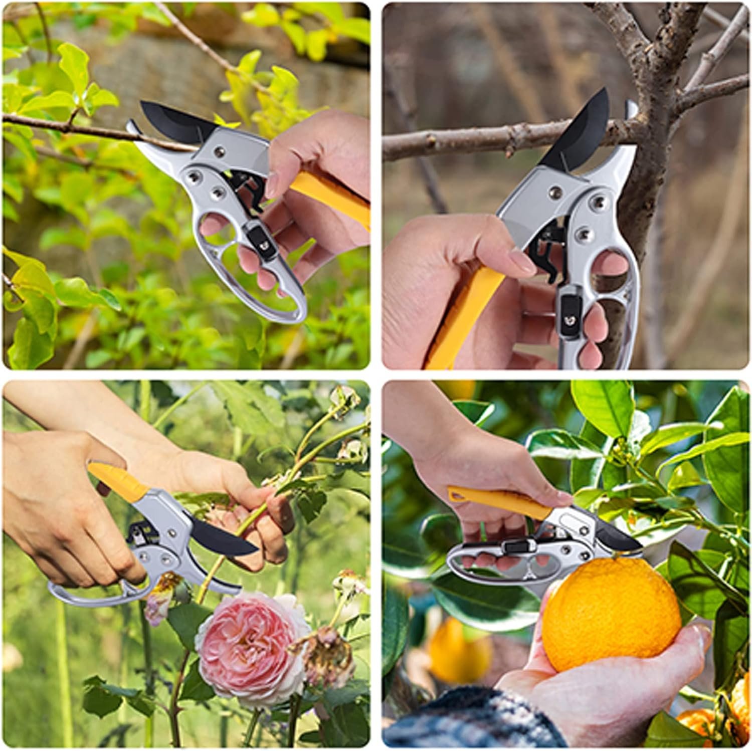 Large garden shears widely used