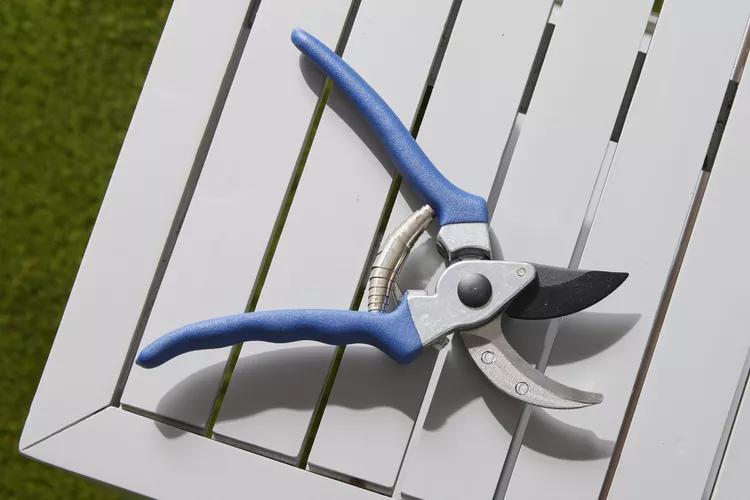 Small Lightweight Garden Shears SPR-garden-pruner-preference
