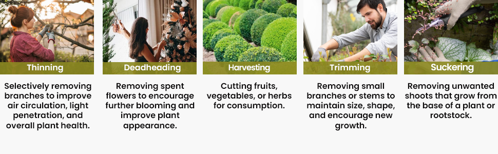 garden shears in different scenarios
